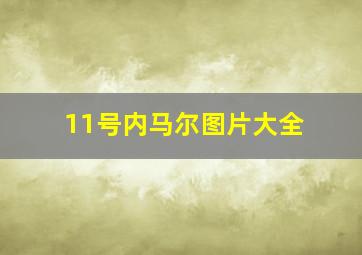 11号内马尔图片大全