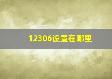 12306设置在哪里