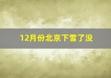 12月份北京下雪了没