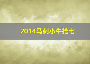 2014马刺小牛抢七