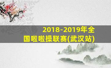 2018-2019年全国啦啦操联赛(武汉站)