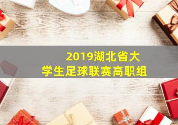 2019湖北省大学生足球联赛高职组