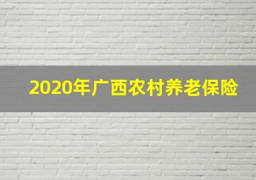 2020年广西农村养老保险