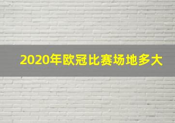 2020年欧冠比赛场地多大