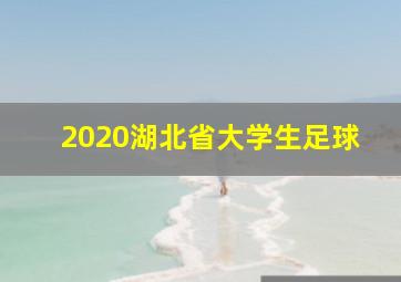 2020湖北省大学生足球