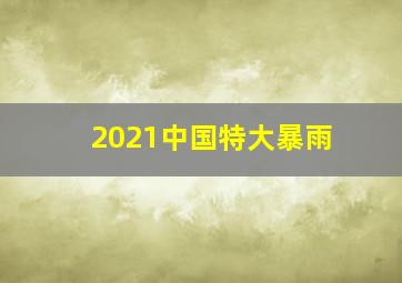 2021中国特大暴雨