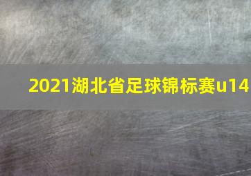 2021湖北省足球锦标赛u14