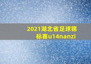 2021湖北省足球锦标赛u14nanzi