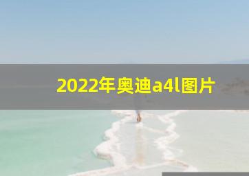 2022年奥迪a4l图片