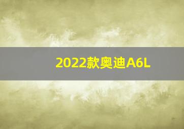 2022款奥迪A6L