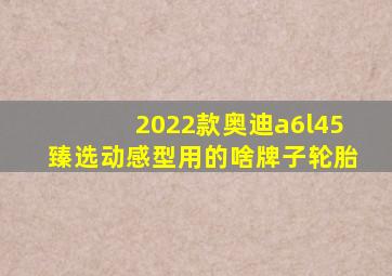 2022款奥迪a6l45臻选动感型用的啥牌子轮胎