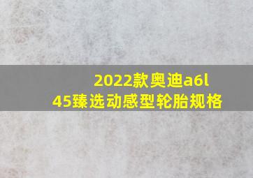 2022款奥迪a6l45臻选动感型轮胎规格