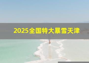 2025全国特大暴雪天津