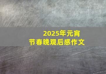 2025年元宵节春晚观后感作文