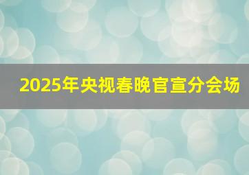 2025年央视春晚官宣分会场