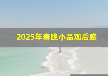 2025年春晚小品观后感