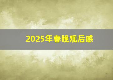 2025年春晚观后感