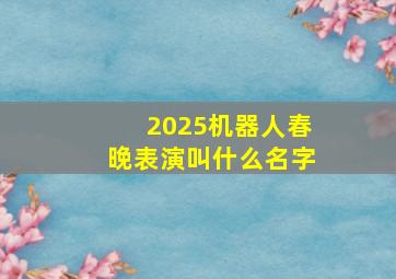 2025机器人春晚表演叫什么名字