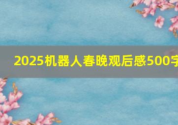 2025机器人春晚观后感500字