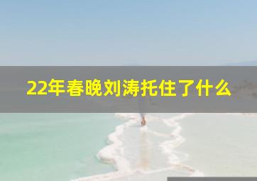 22年春晚刘涛托住了什么