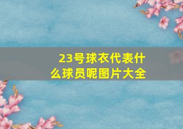 23号球衣代表什么球员呢图片大全