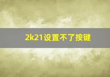 2k21设置不了按键