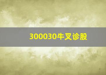 300030牛叉诊股