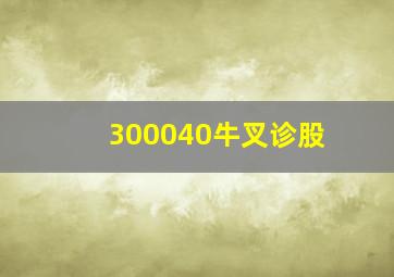 300040牛叉诊股