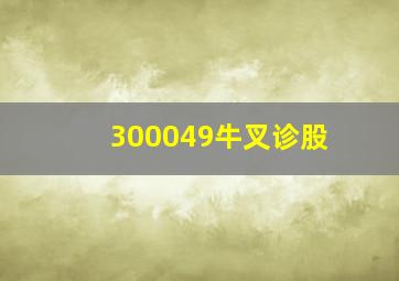 300049牛叉诊股