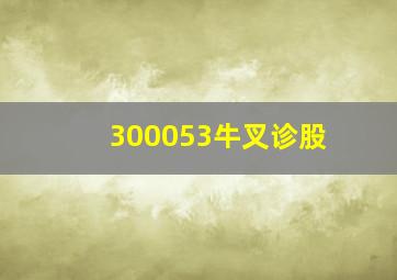 300053牛叉诊股