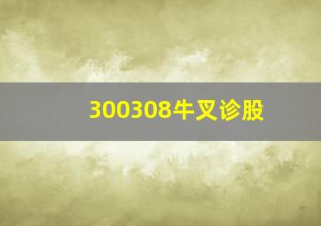 300308牛叉诊股