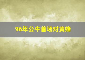 96年公牛首场对黄蜂