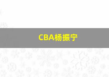 CBA杨振宁