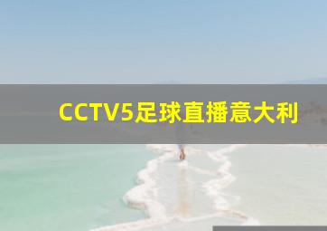 CCTV5足球直播意大利