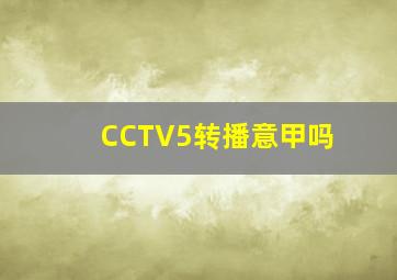 CCTV5转播意甲吗