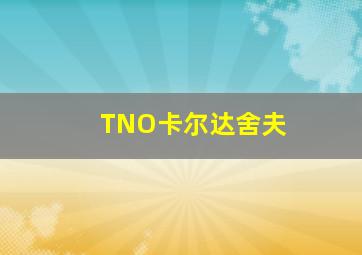 TNO卡尔达舍夫