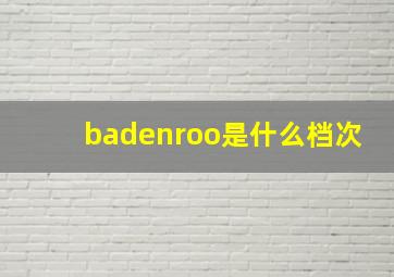 badenroo是什么档次