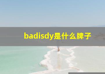 badisdy是什么牌子