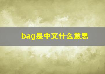 bag是中文什么意思