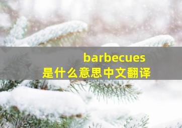 barbecues是什么意思中文翻译