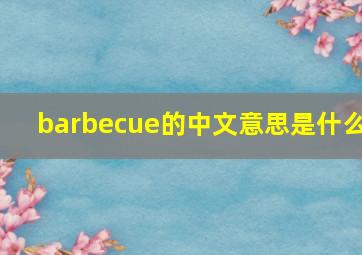 barbecue的中文意思是什么