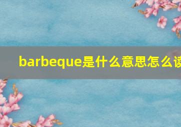 barbeque是什么意思怎么读