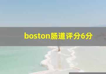 boston肠道评分6分