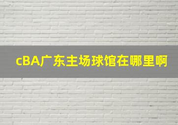 cBA广东主场球馆在哪里啊