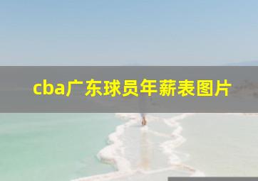 cba广东球员年薪表图片