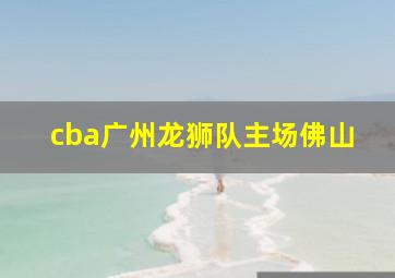 cba广州龙狮队主场佛山