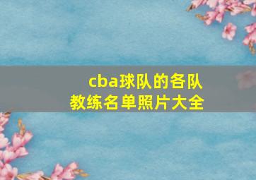 cba球队的各队教练名单照片大全