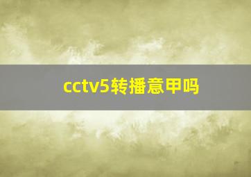 cctv5转播意甲吗