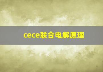 cece联合电解原理