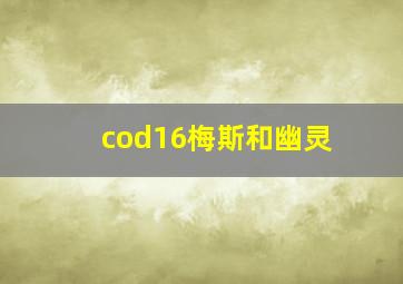 cod16梅斯和幽灵